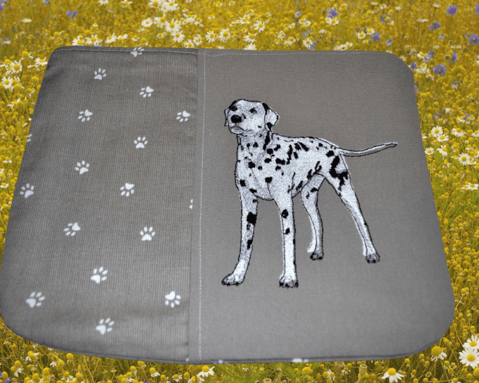 TROUSSE  plate Chien  