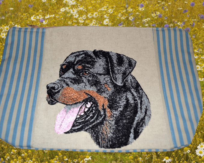 TROUSSE  plate Chien 